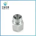 Female Hexagon Adapter Pipe Fitting